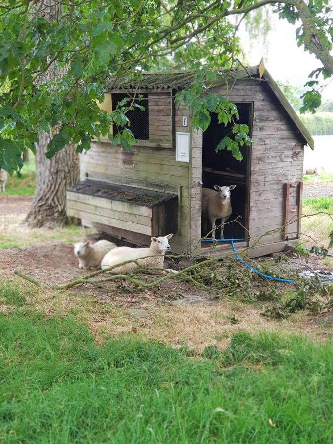 The Cosy Hut Villa Faversham Buitenkant foto